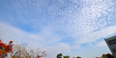 巻積雲