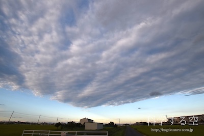 高積雲