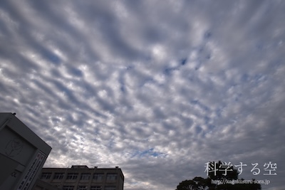 高積雲