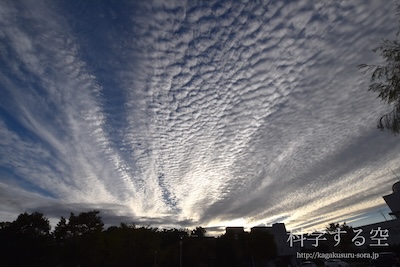 高積雲