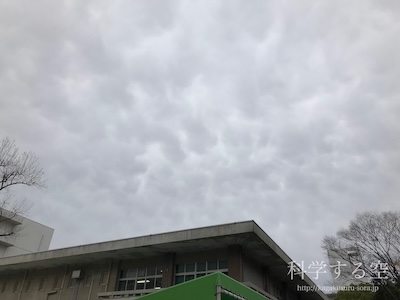 高層雲