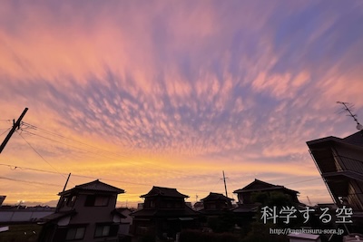 高層雲