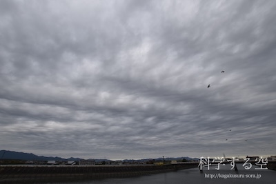 層積雲