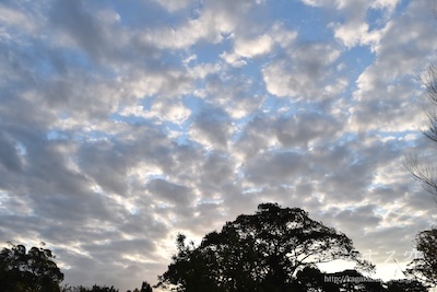 層積雲