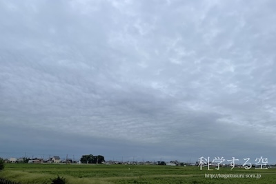 層積雲