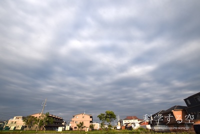 層積雲