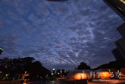 層積雲