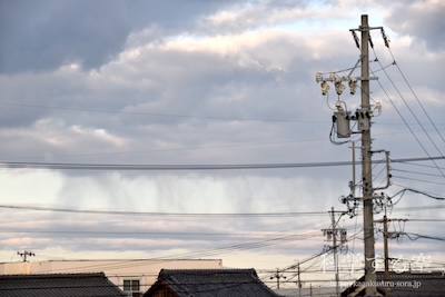 層積雲